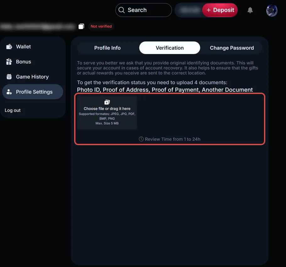 Document upload area on the LineUp Verification tab